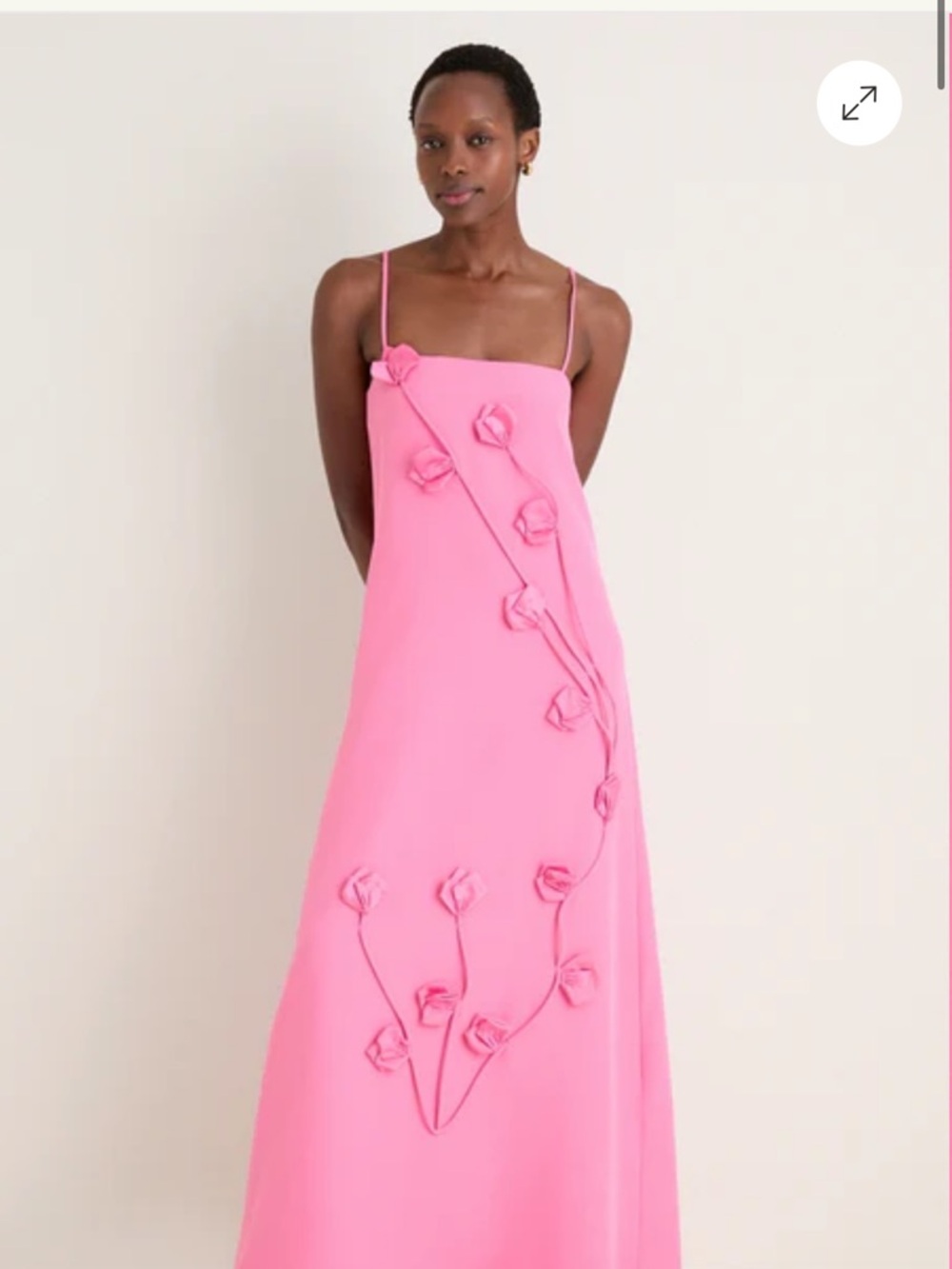Nolana gown (sold out everywhere)